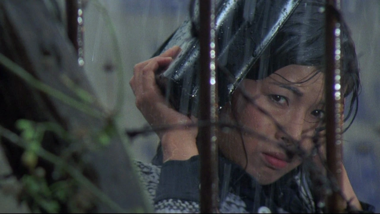 Phim Angel Guts: Nami - 天使のはらわた　名美 (1979)