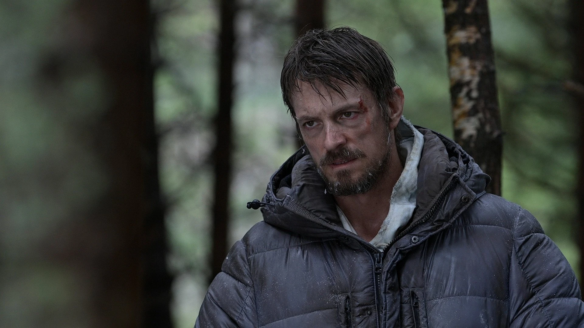 Phim Băng Tan - Icefall (2025)