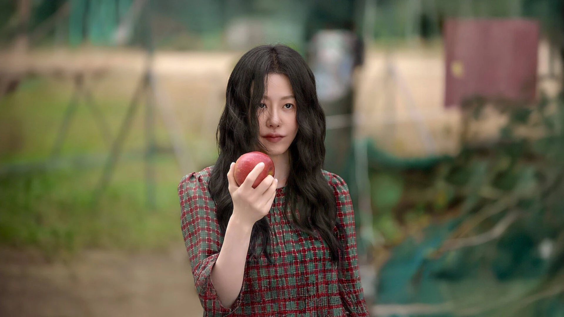 Phim Bọ Ngựa - Queen Mantis (2025)