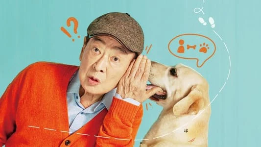 Phim Chú Chó Biết Tuốt - Dog Knows Everything (2024)
