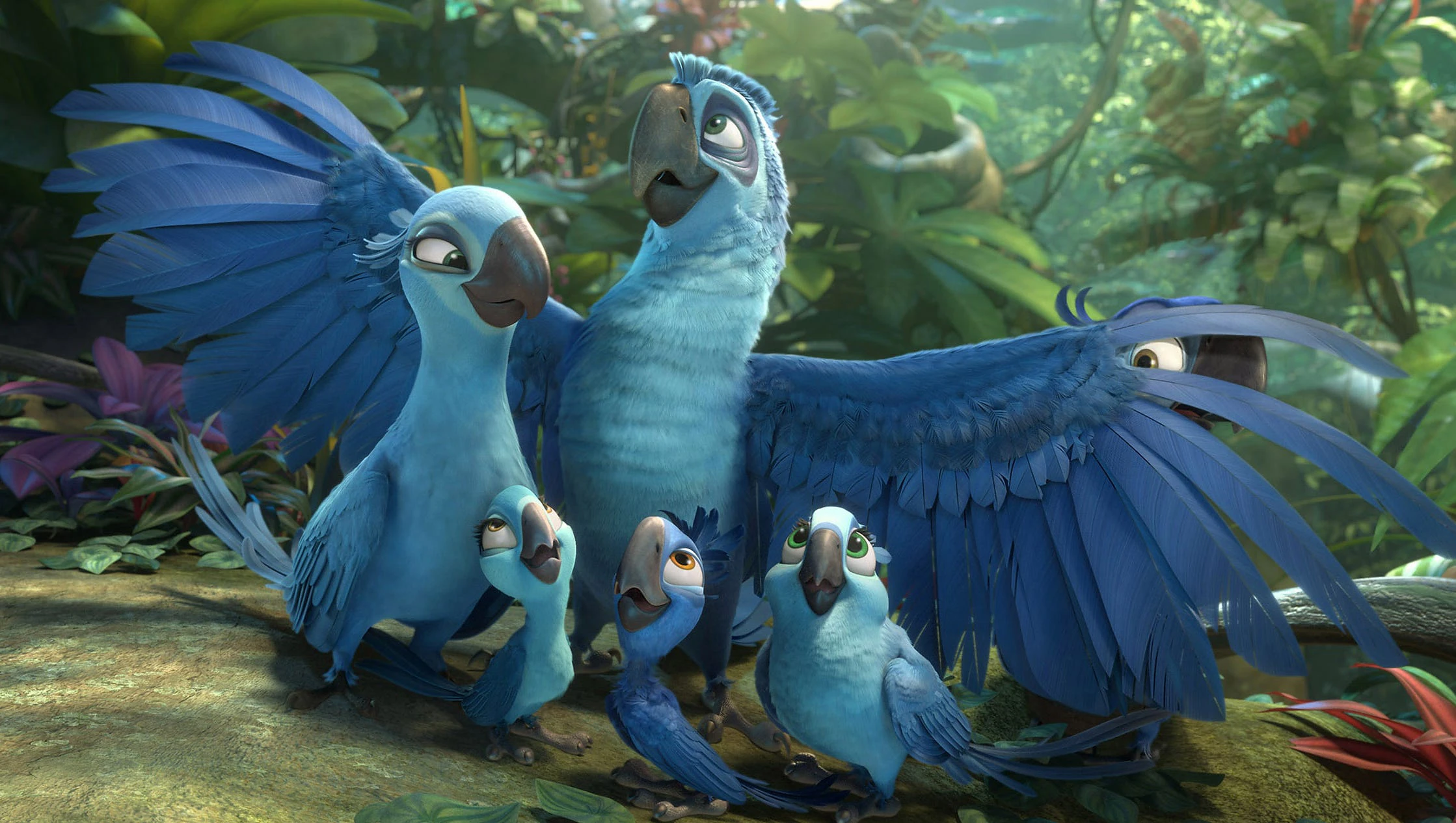 Phim Chú Vẹt Rio 2 - Rio 2 (2014)