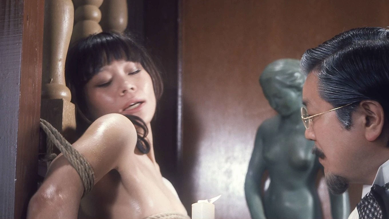 Phim Cổ Tích Trong Lồng - Fairy in a Cage (1977)