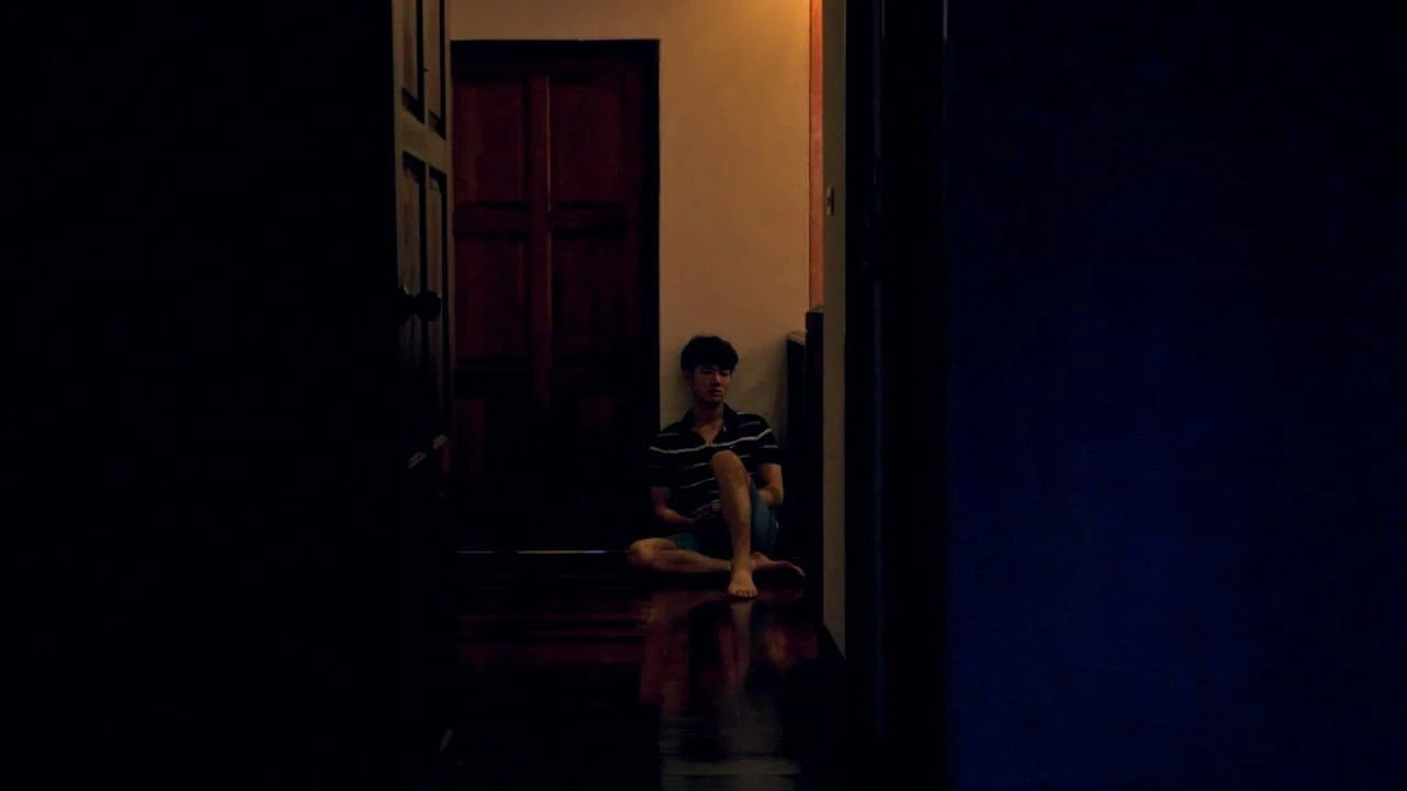 Phim Đêm nhiệt đới - Tropical Night (2017)