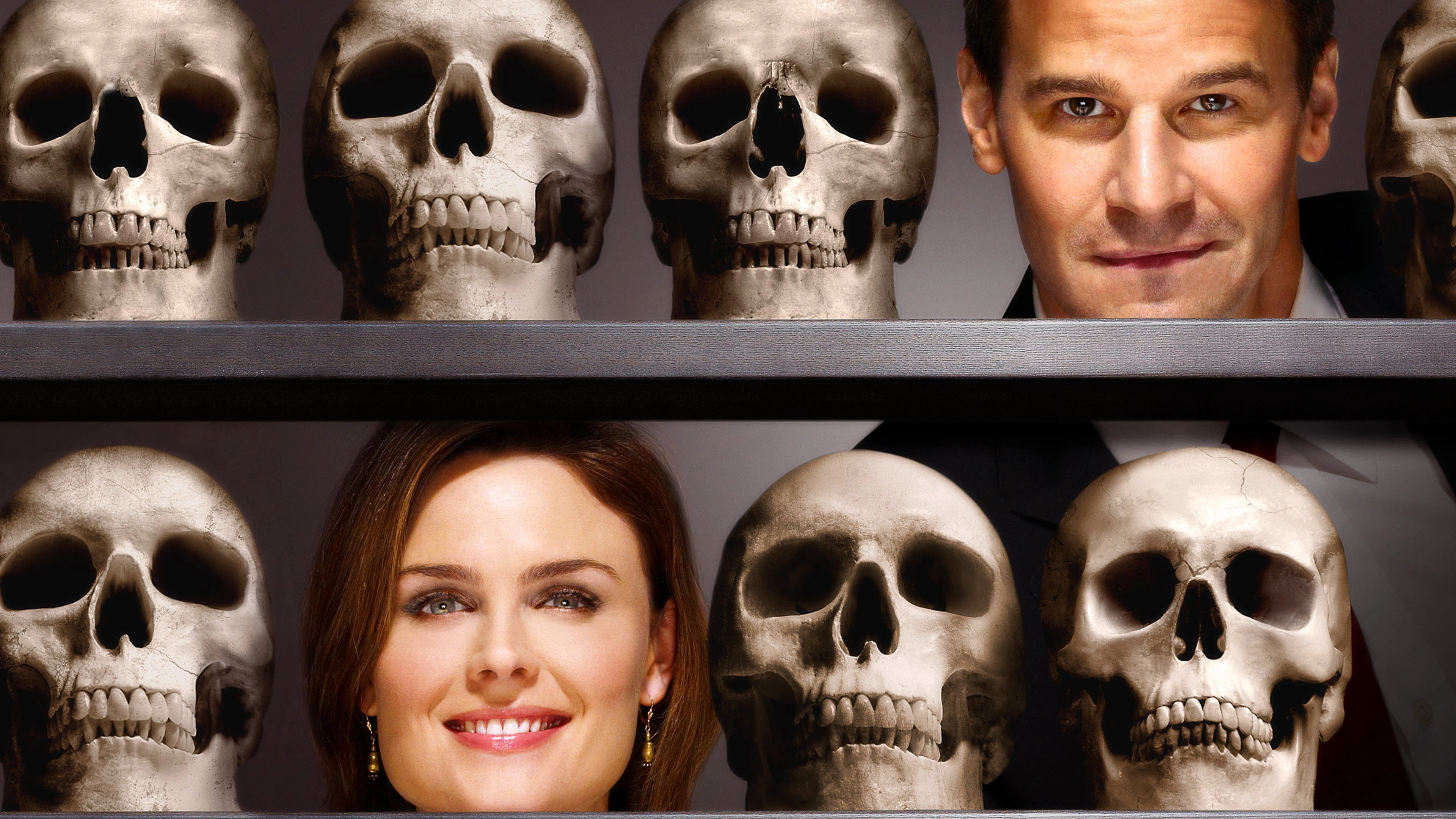Phim Hài Cốt (Phần 11) - Bones (Season 11) (2015)
