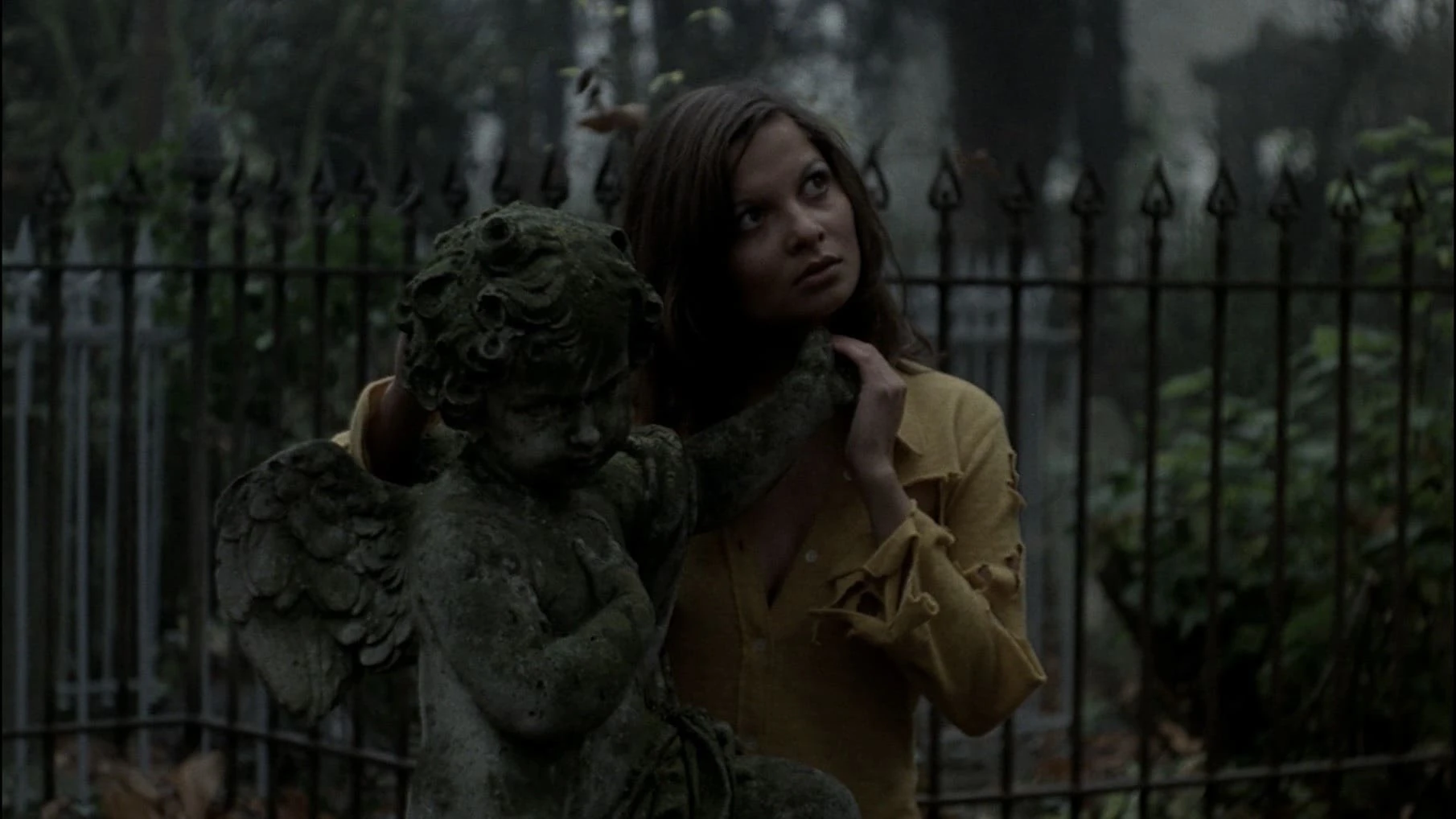 Phim Hoa Hồng Sắt - The Iron Rose (1973)