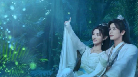 Phim Huyễn Nhạc Sâm Lâm - Echo of Her Voice (2024)