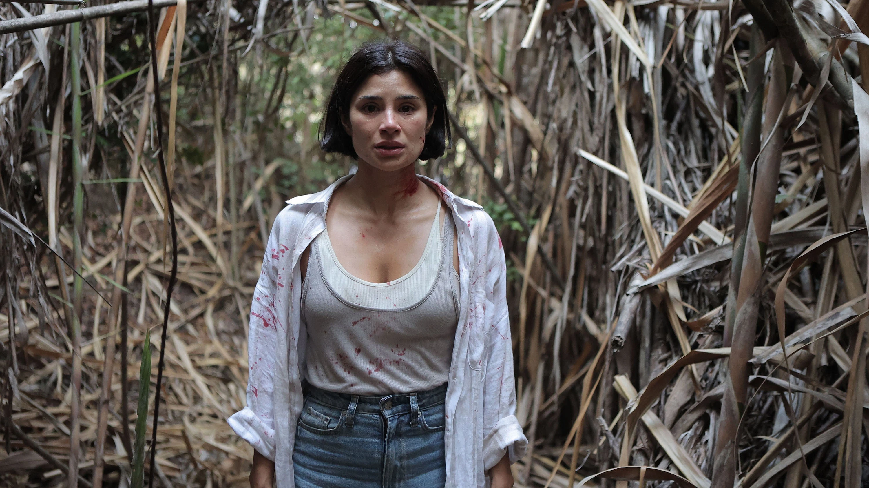 Phim Kẻ Huýt Sáo - The Whistler (2026)