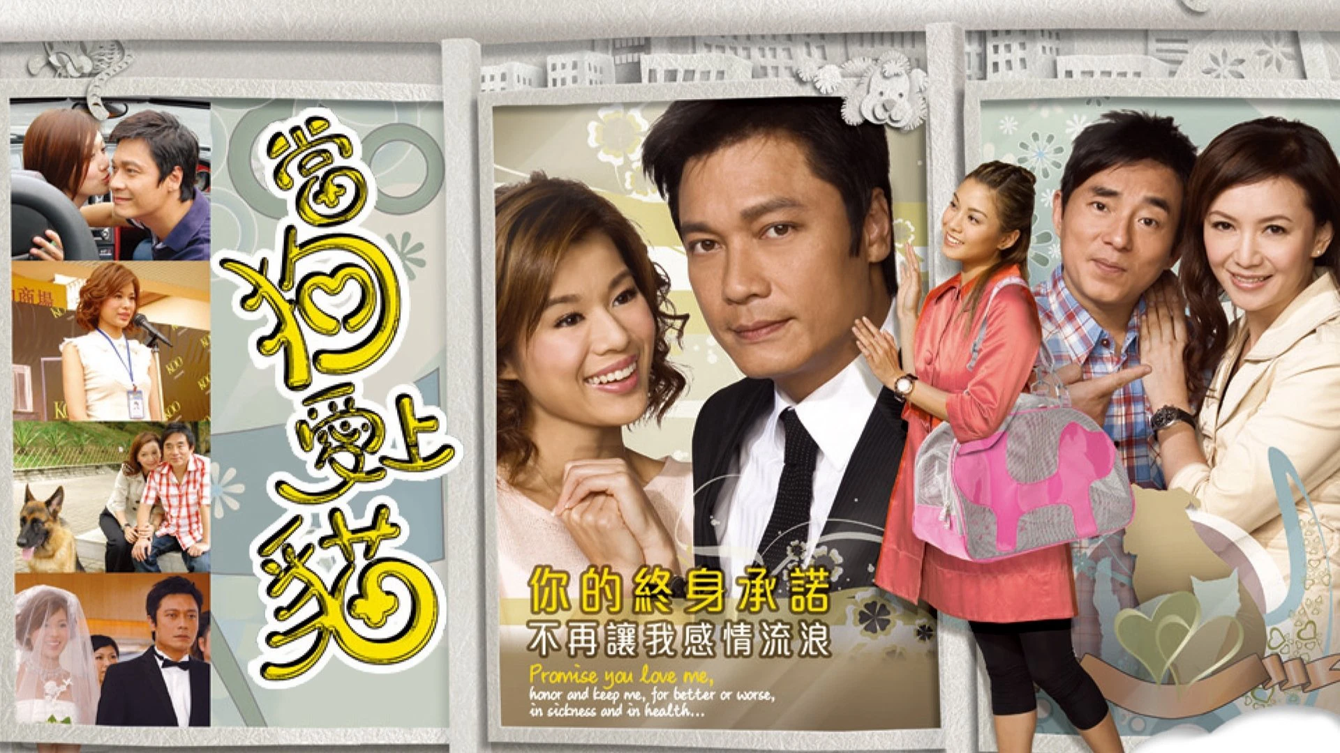 Phim Khi Chó Yêu Mèo - When a Dog Loves a Cat (2008)