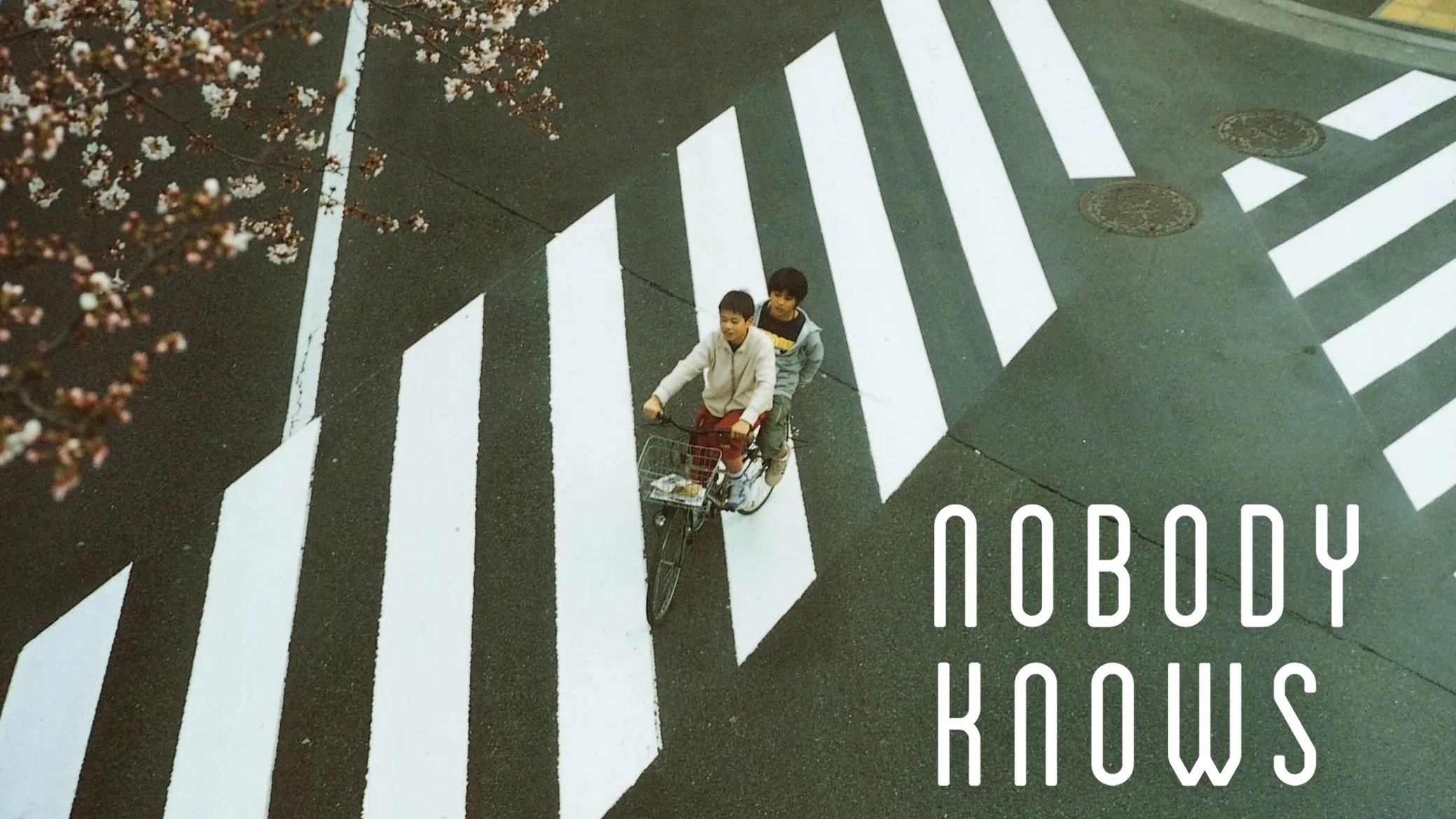 Phim Không Ai Biết - Nobody Knows (2004)