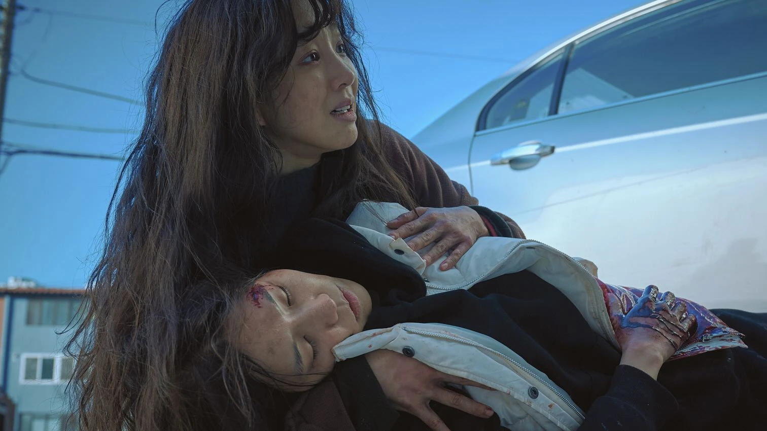 Không Bông Tuyết Nào Trong Sạch