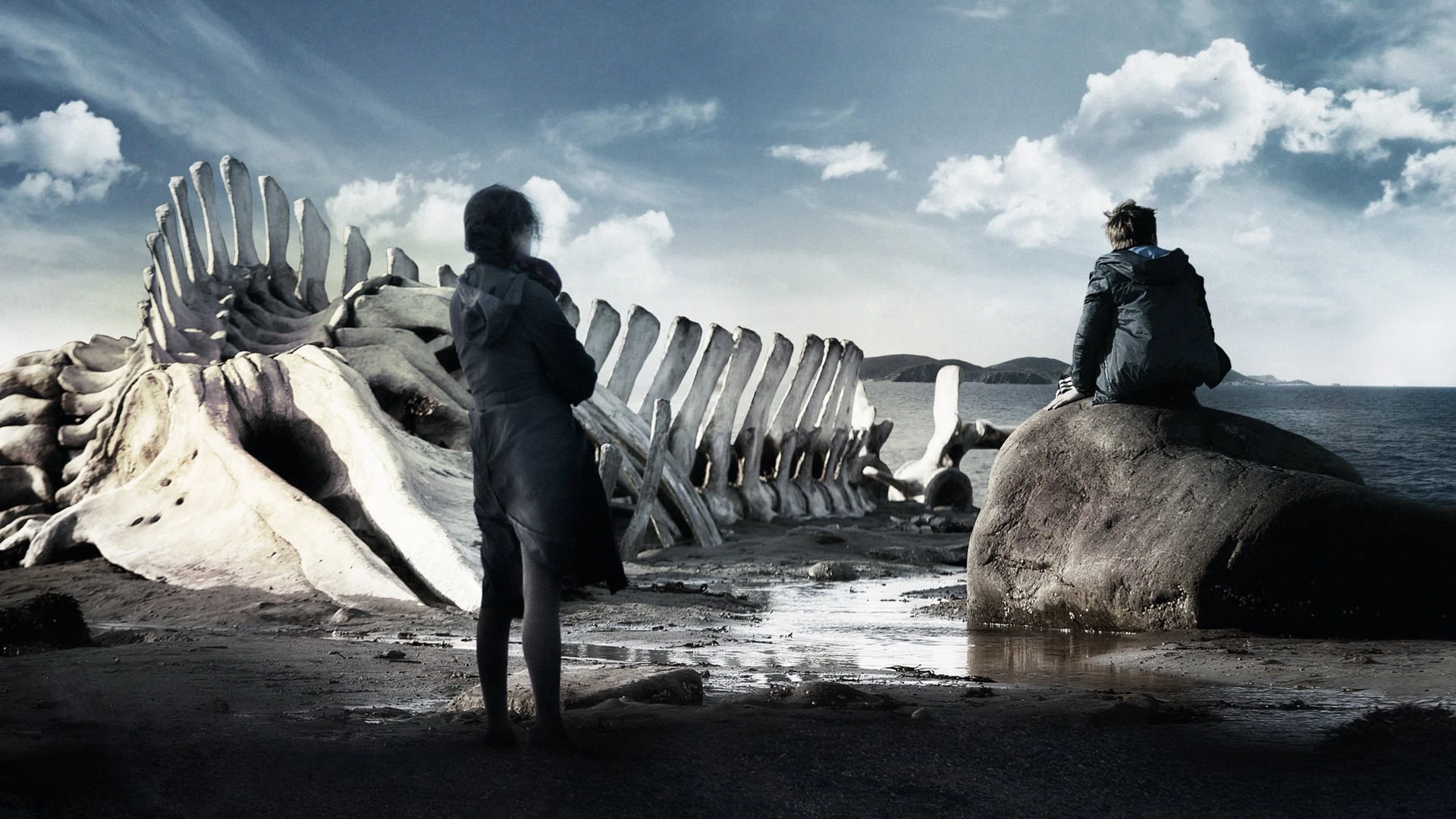 Phim Leviathan - Leviathan (2014)