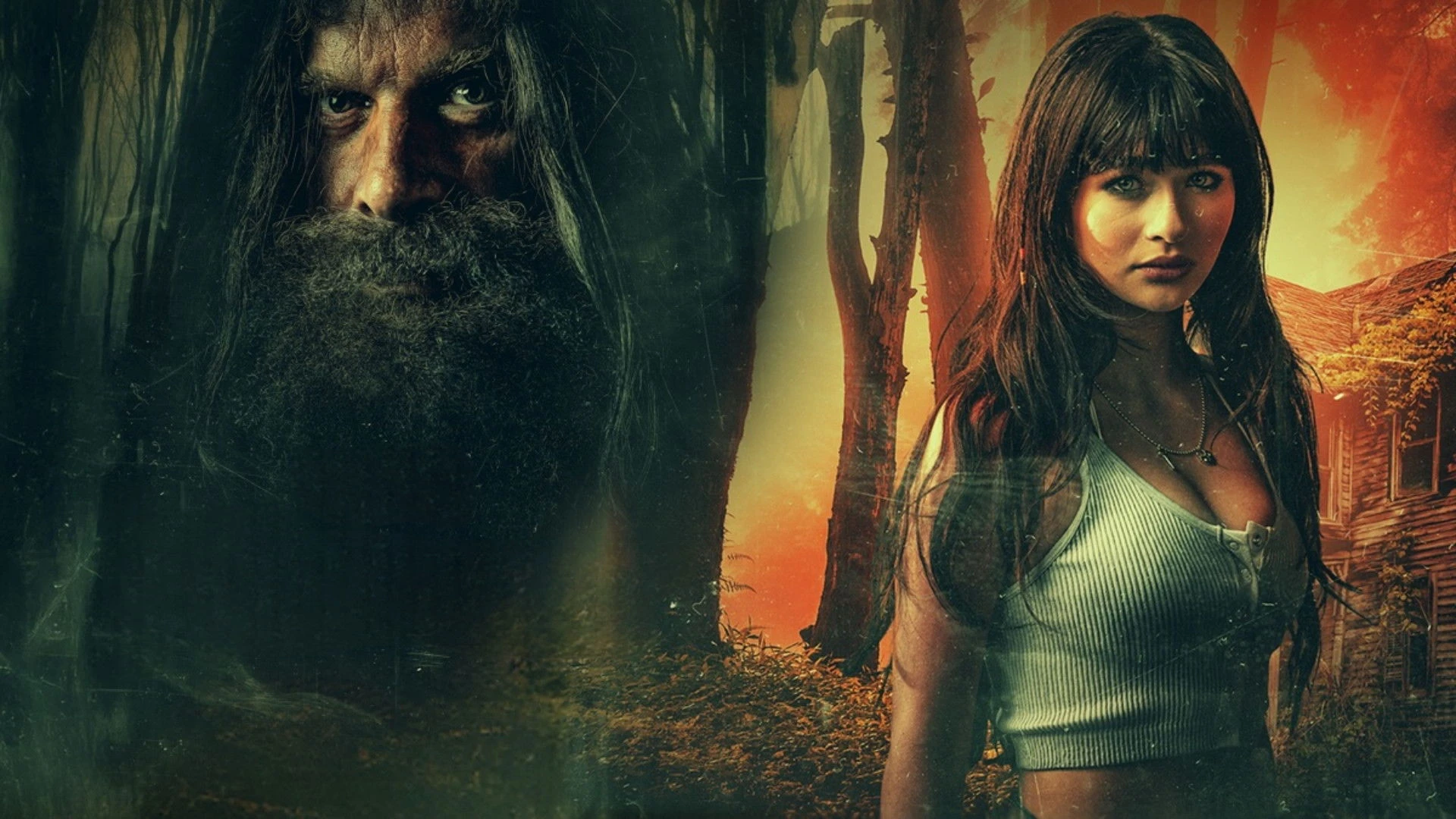 Phim Người ẩn sĩ - The Hermit (2025)