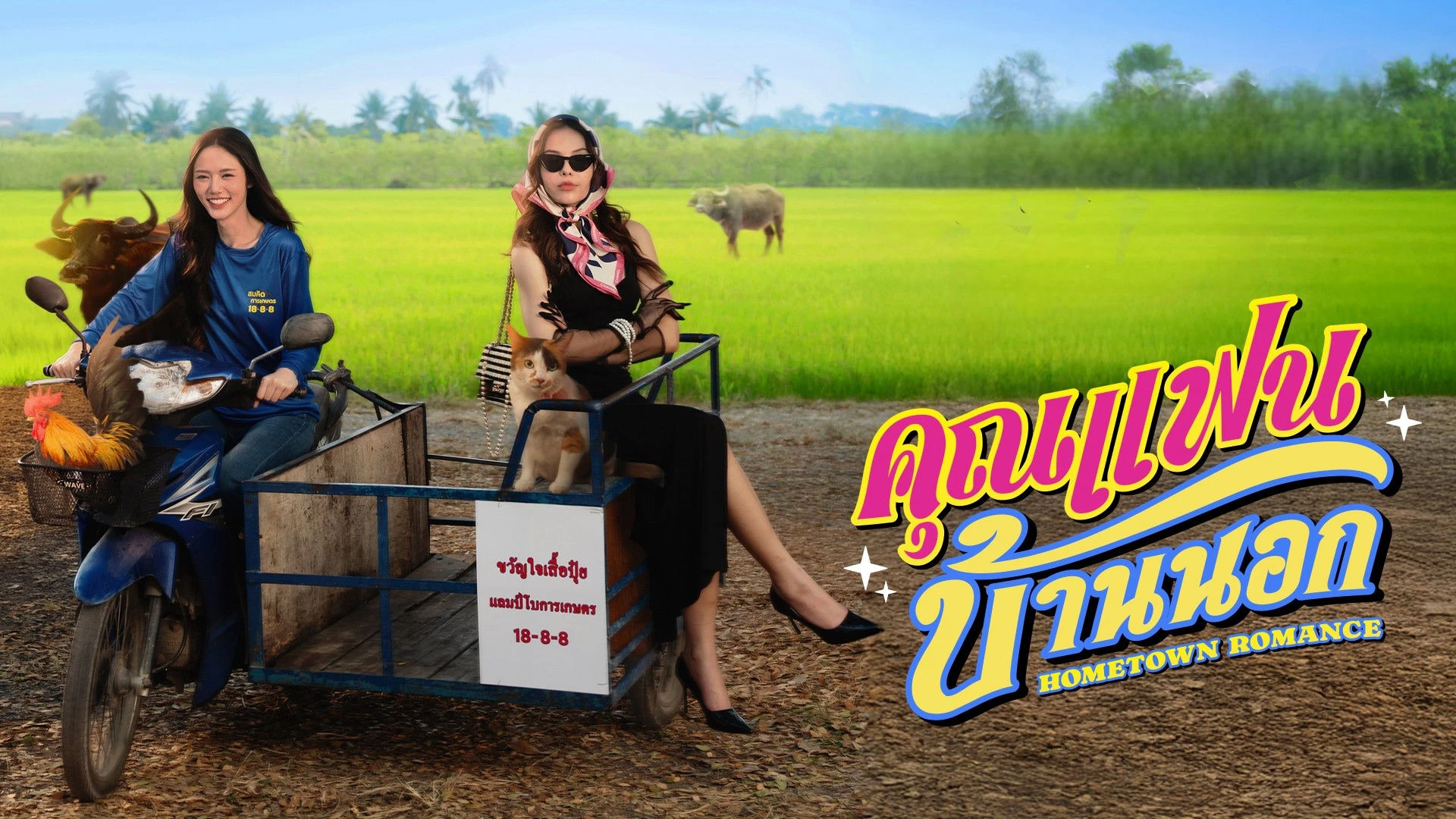 Phim Người Yêu Miền Quê - Hometown Romance (2026)