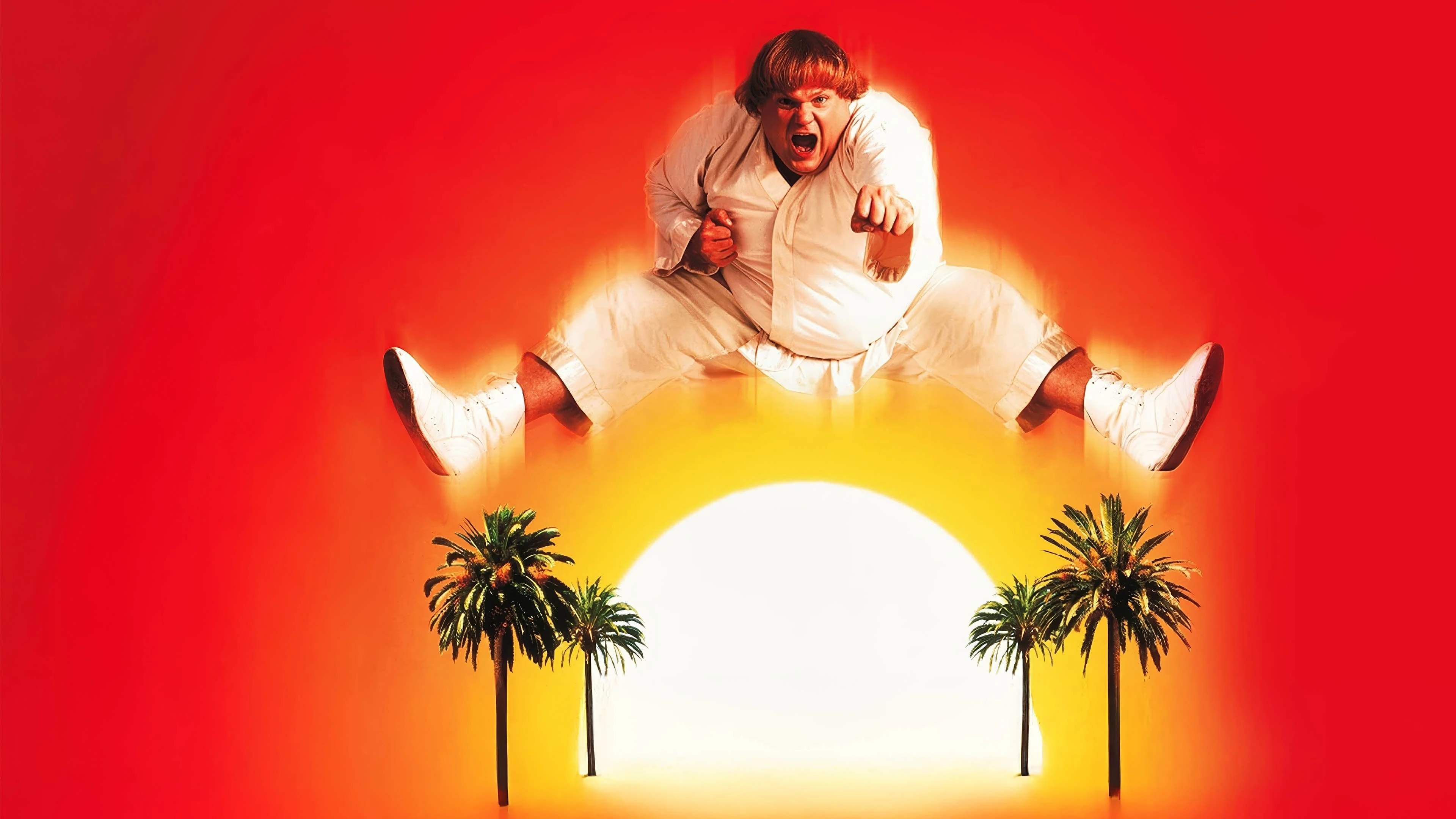 Phim Ninja Đồi Beverly - Beverly Hills Ninja (1997)