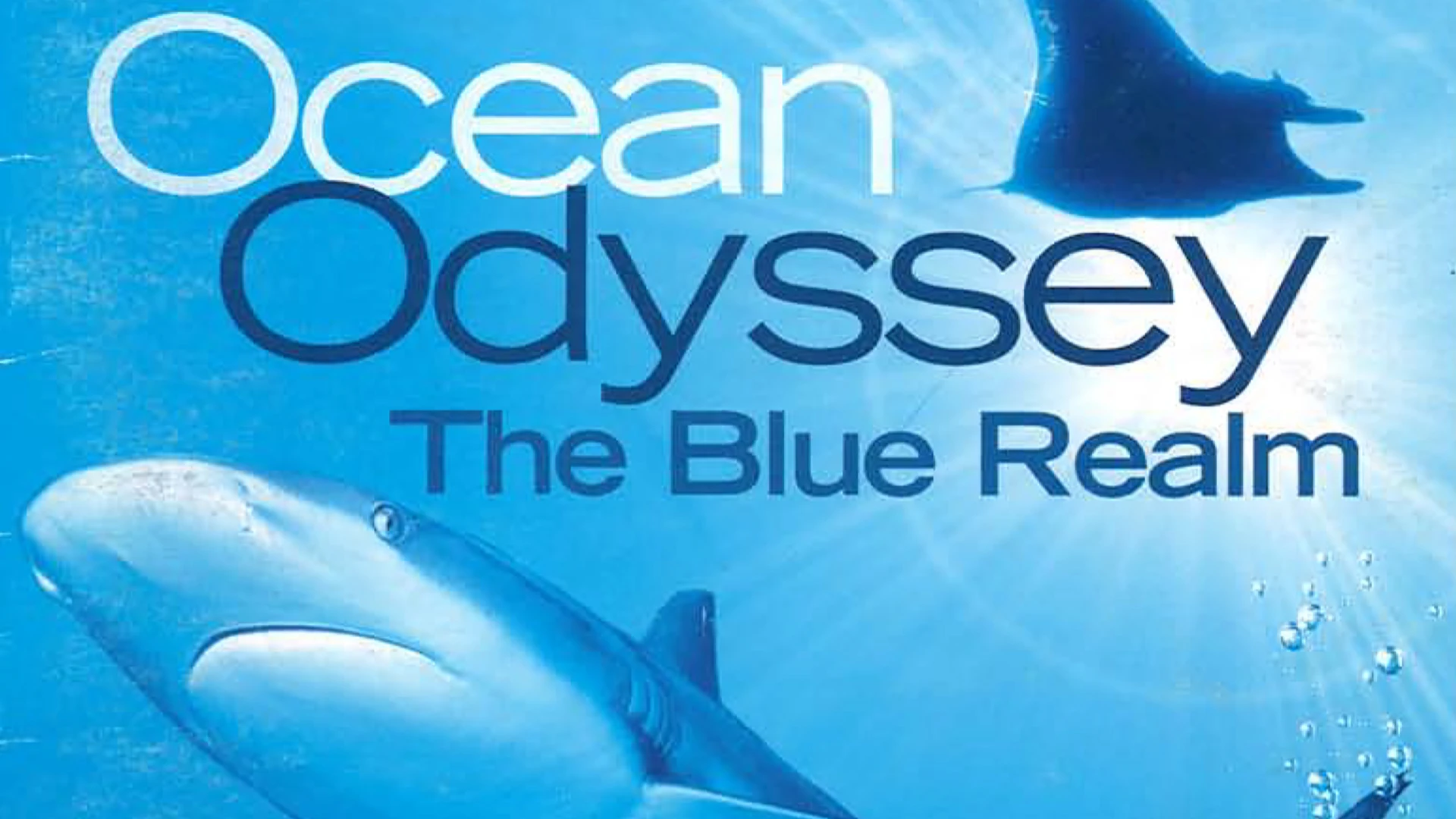 Phim Ocean Odyssey: The Blue Realm - Ocean Odyssey: The Blue Realm (2010)