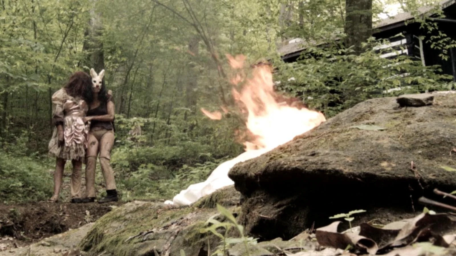 Phim Plank Face - Plank Face (2016)