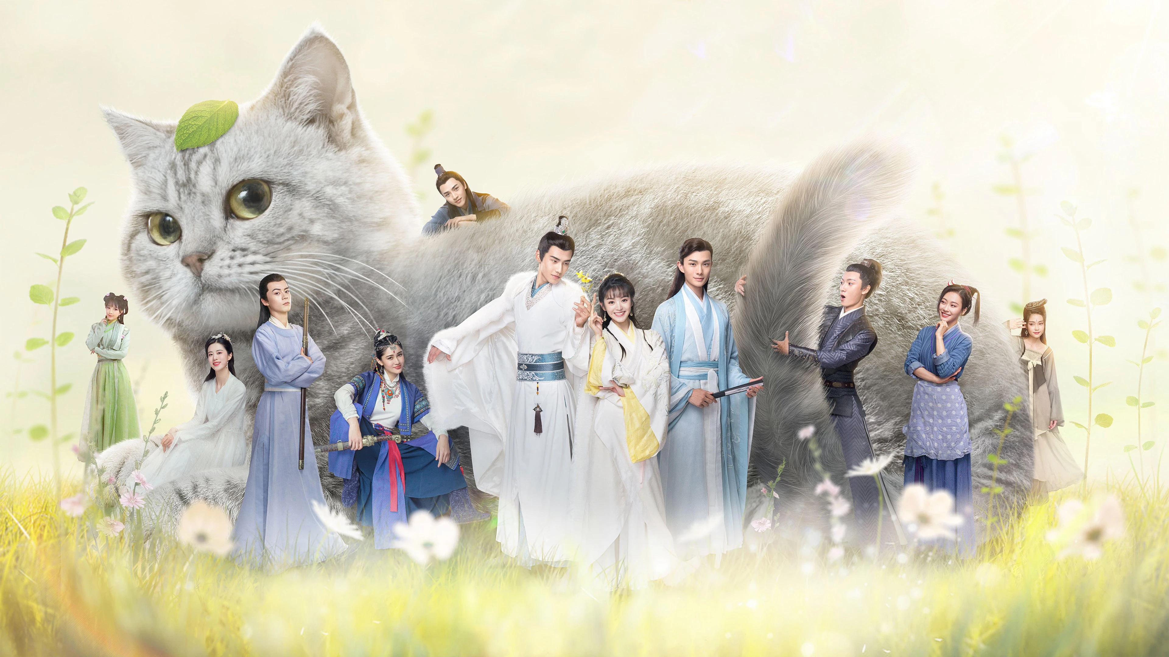 Phim Thiếu Tướng Quân Thú Cưng Của Tôi - Be My Cat (2021)