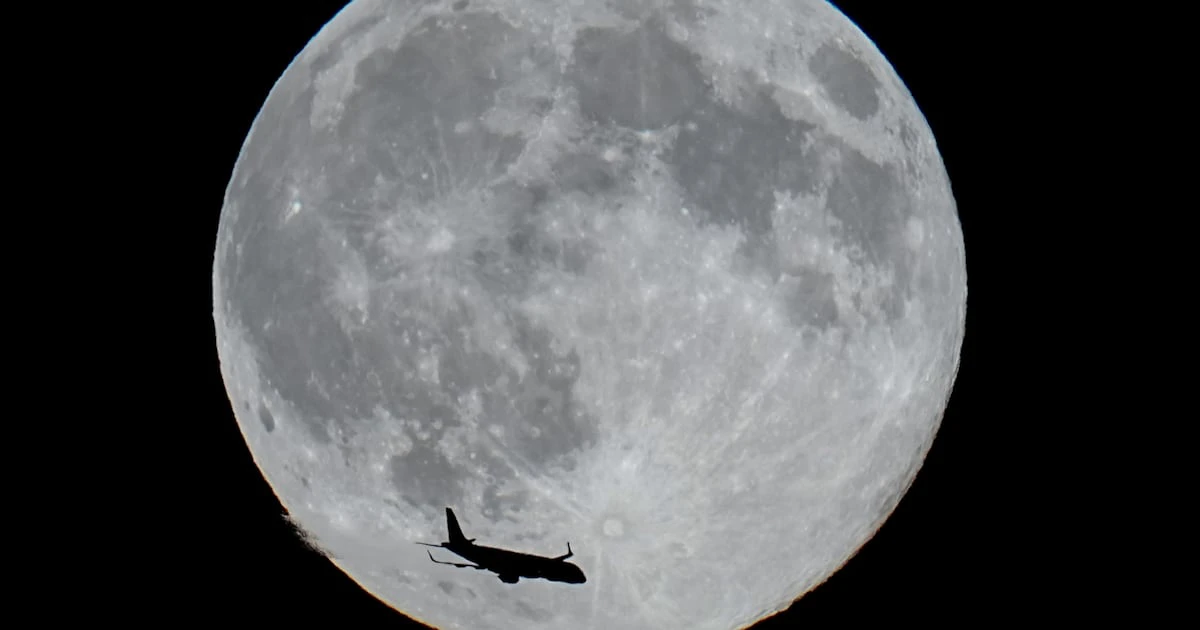 Phim Tiệc Quái thú dưới ánh trăng - Beasts Under the Moon (2003)