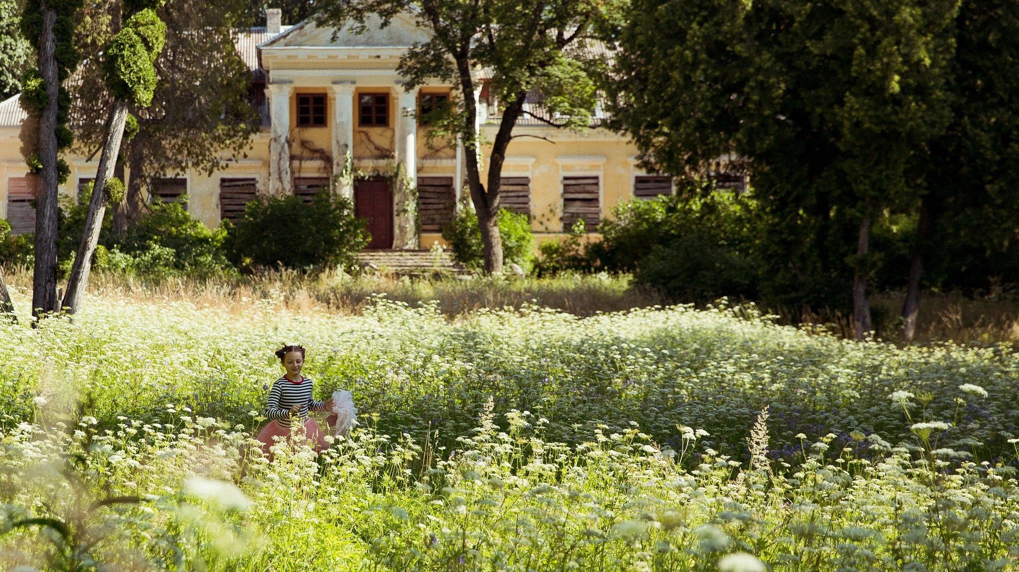 Phim Trái Tim Bươm Bướm - A Butterfly's Heart (2022)