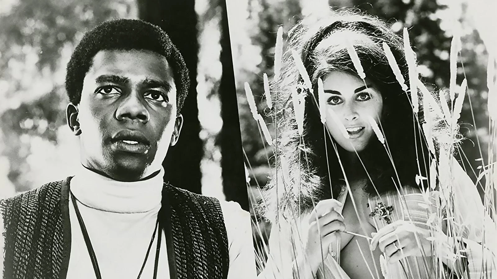 Phim Vixen! - Vixen! (1968)