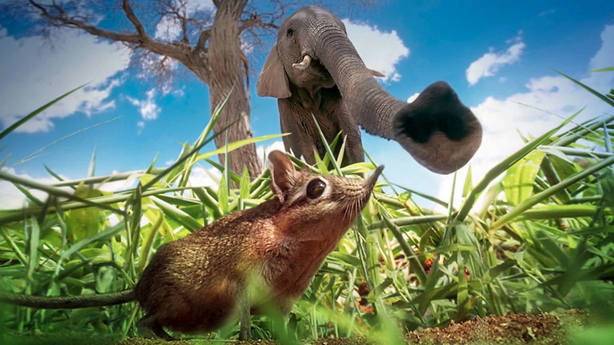 Phim Vương Quốc Bí Ẩn - Hidden Kingdoms (2009)